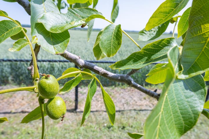 Foto 40 van Langesteeg 10