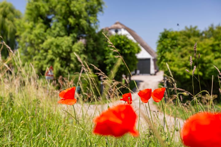 Foto 11 van Achterzeedijk 48