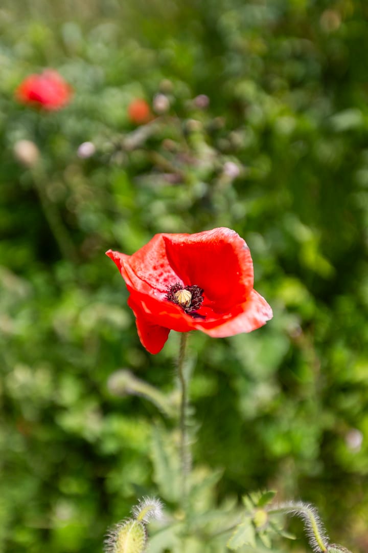 Foto 55 van Achterzeedijk 48