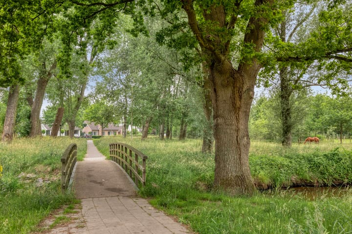 Foto 48 van Händellaan 5