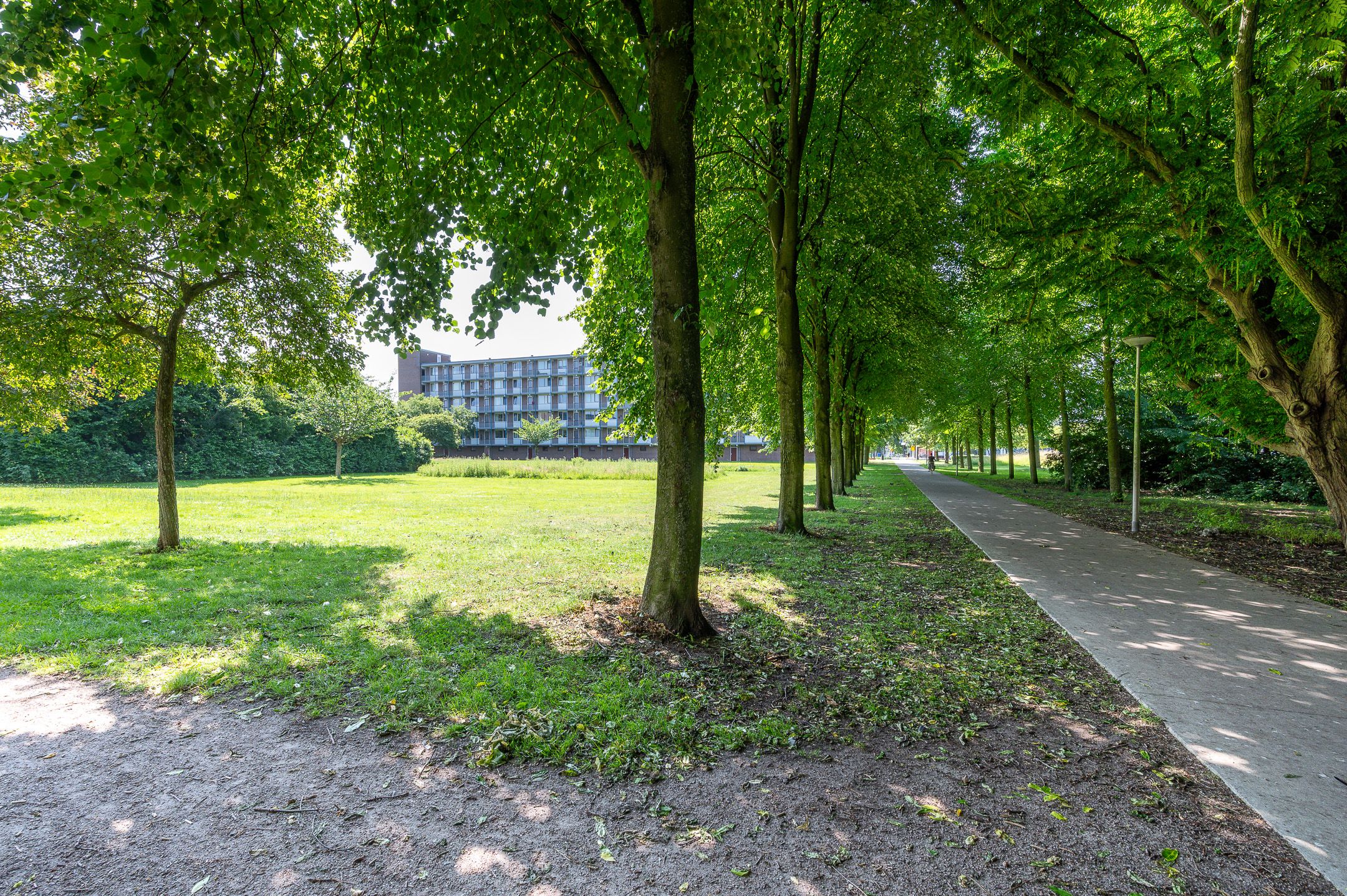 Foto 3 van Telemannstraat 29