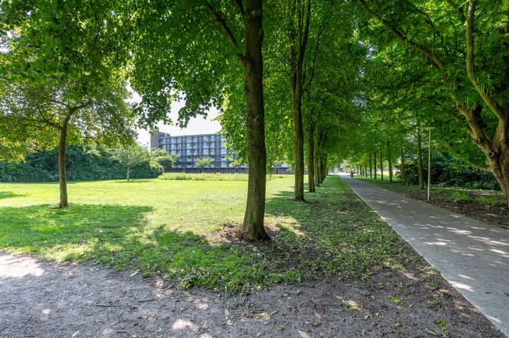 Foto 3 van Telemannstraat 29