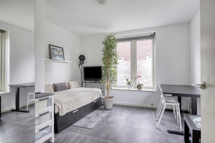 Foto 11 van Zoutgootpad 6