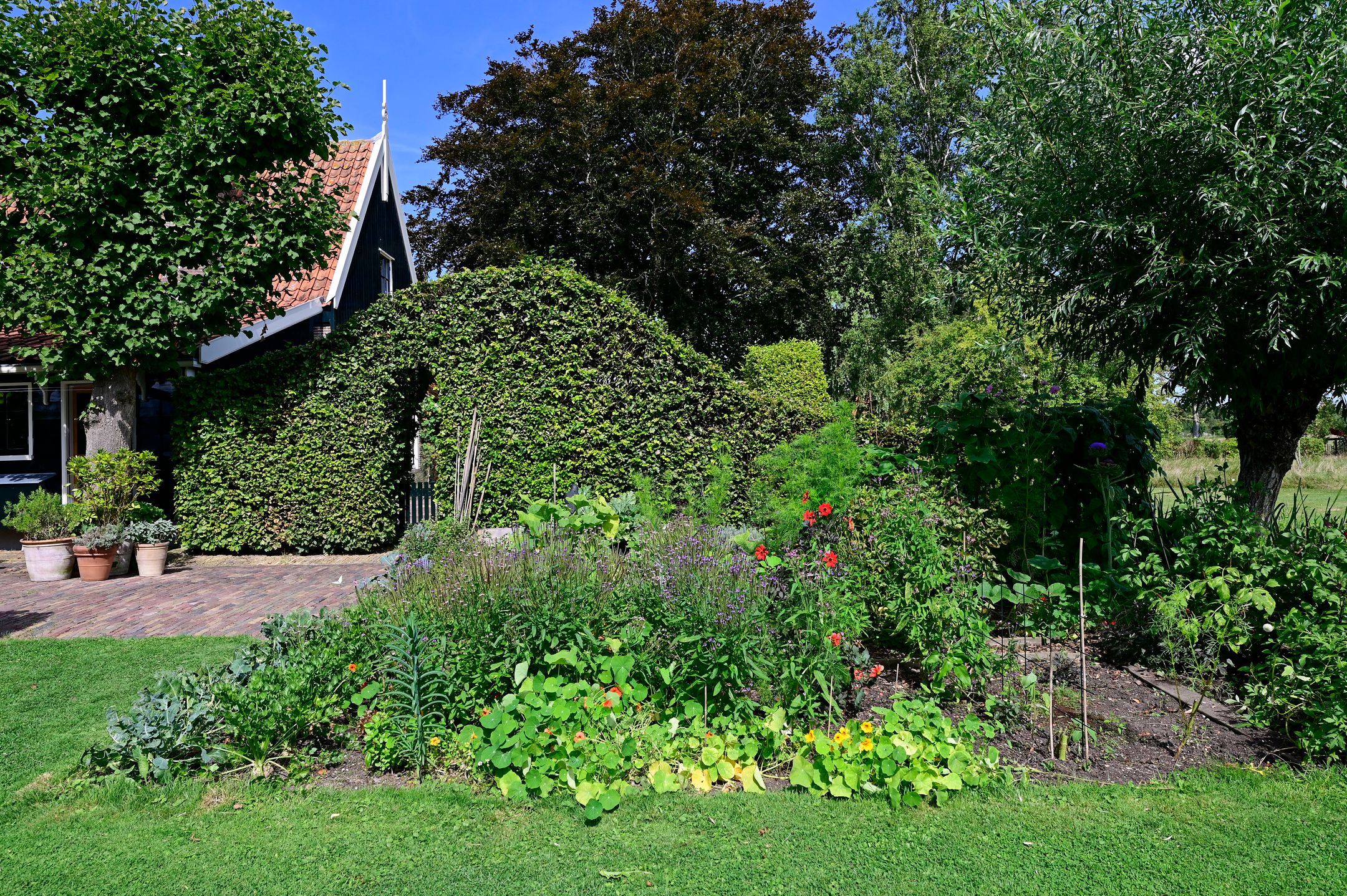 Foto 27 van Driehuizen 11