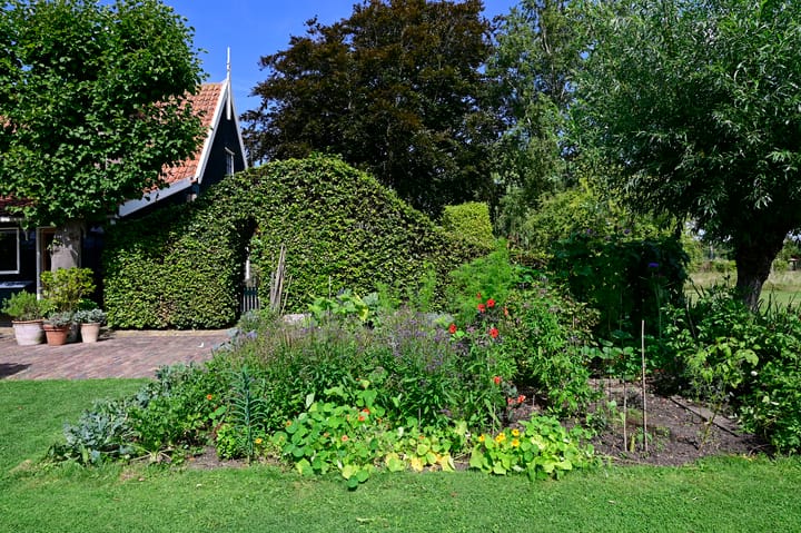 Photo 27 of Driehuizen 11