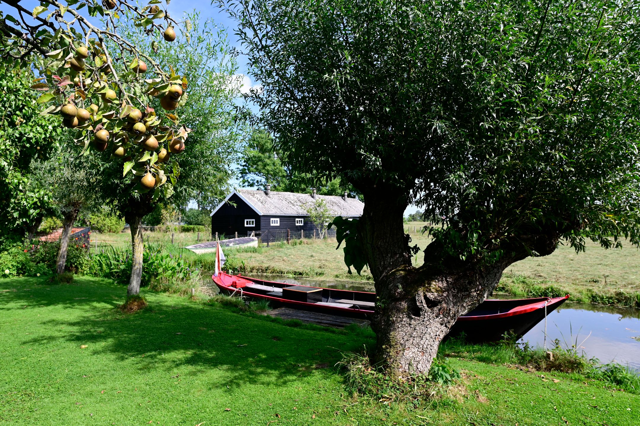 Foto 51 van Driehuizen 11