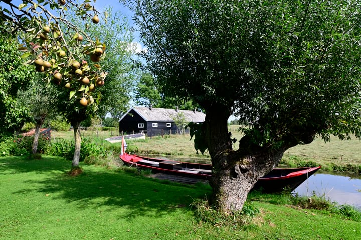 Photo 51 of Driehuizen 11