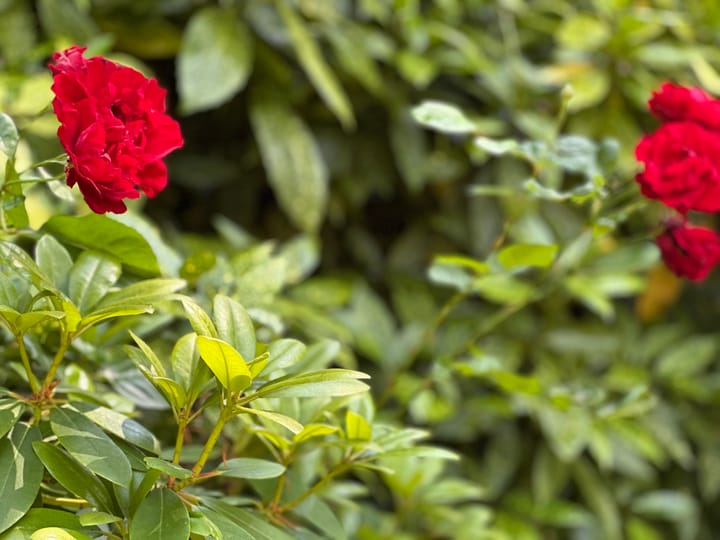 Foto 67 van Eemskanaal NZ 9