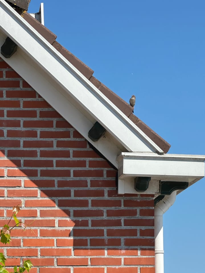 Foto 75 van Eemskanaal NZ 9