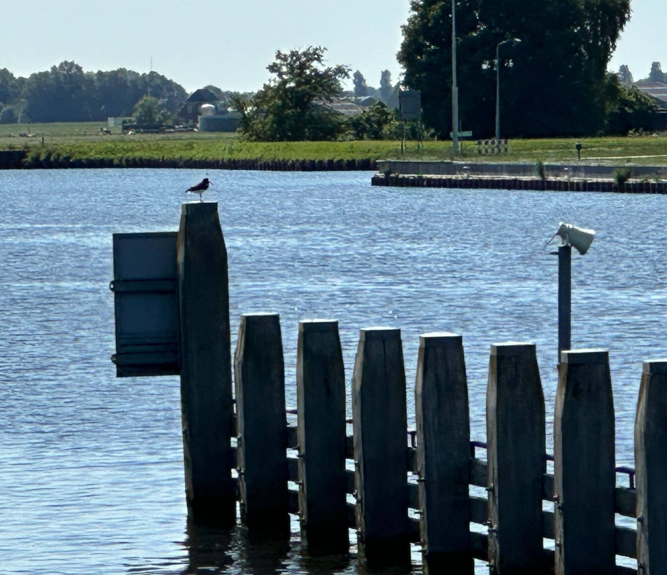 Foto 78 van Eemskanaal NZ 9