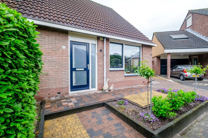 Foto 7 van Sterrekroos 99