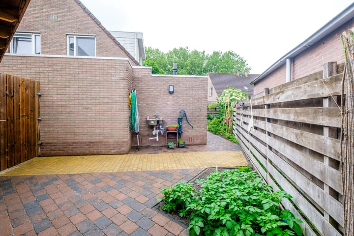 Foto 39 van Sterrekroos 99