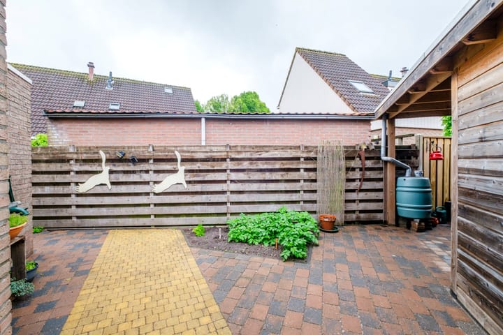 Foto 40 van Sterrekroos 99