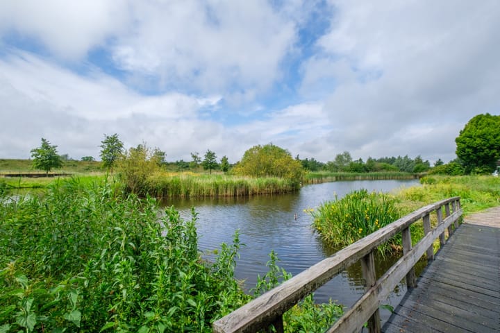 Foto 49 van Sterrekroos 99