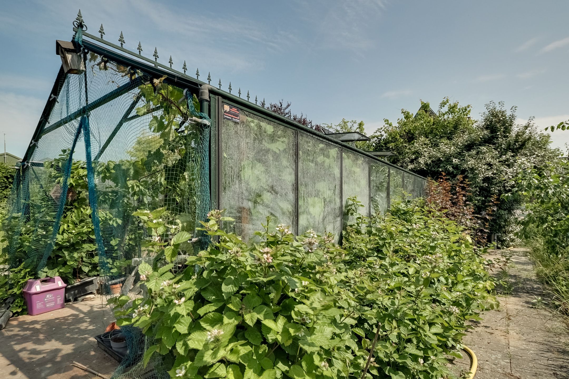 Foto 48 van Bangert 58