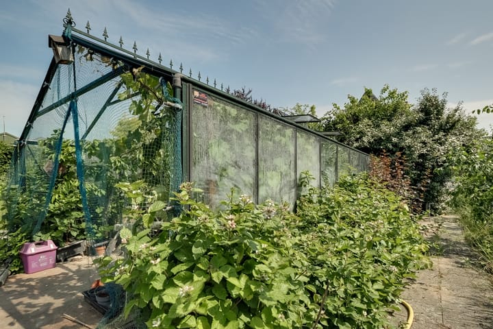 Foto 48 van Bangert 58