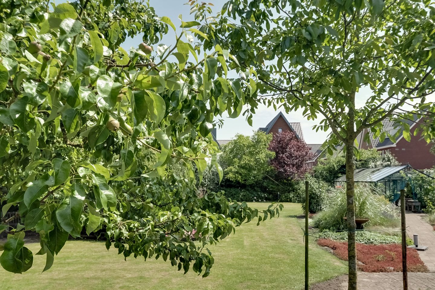 Foto 50 van Bangert 58