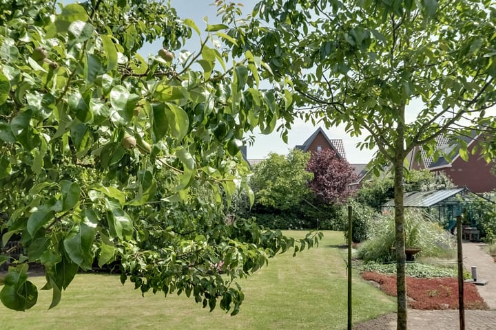 Foto 50 van Bangert 58