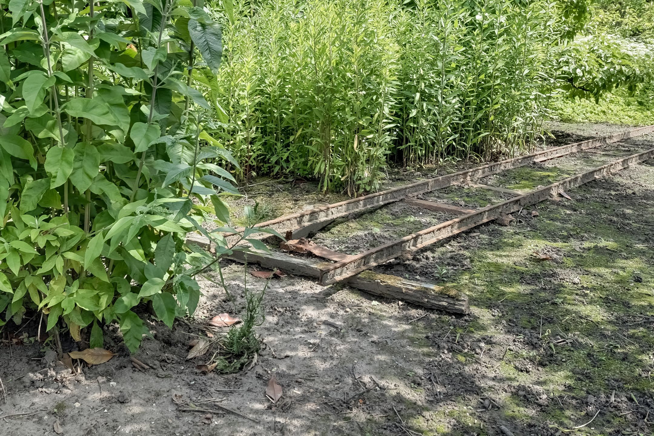 Foto 66 van Bangert 58