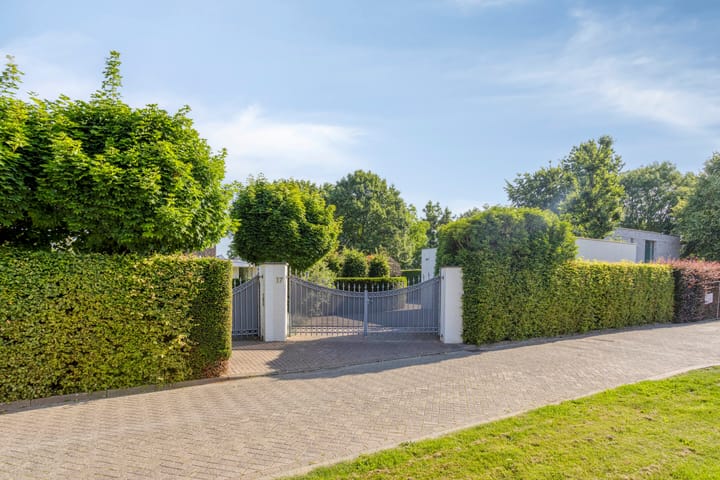 Foto 7 van Cypressenhoven 17