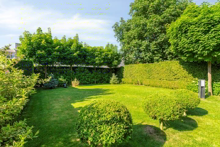 Foto 43 van Cypressenhoven 17