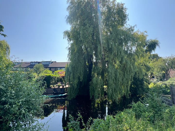 Foto 3 van Brugakker 1702