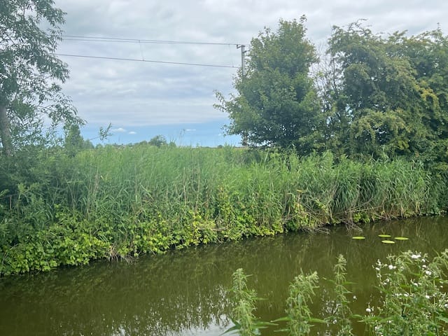 Photo 10 of Boeier 12