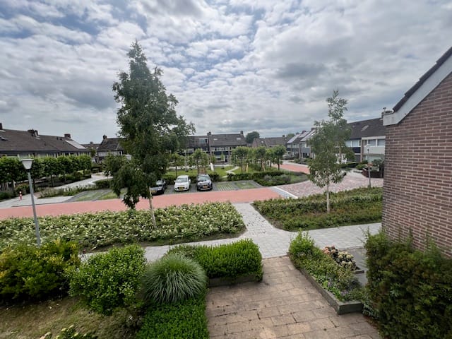 Photo 28 of Boeier 12