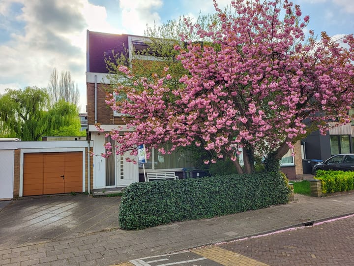 Foto 17 van Graaf Janlaan 18