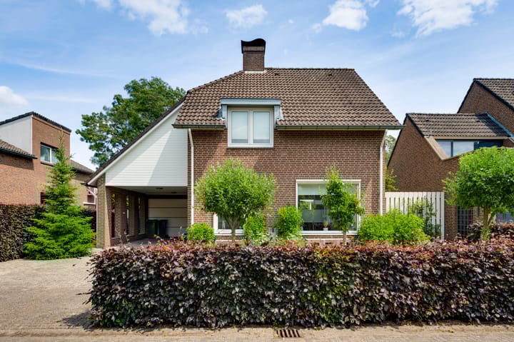 Foto 7 van Ribesstraat 48