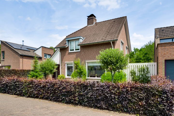 Foto 8 van Ribesstraat 48