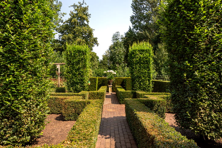 Foto 47 van Moerven 108