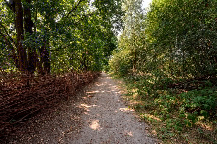 Foto 55 van Moerven 108