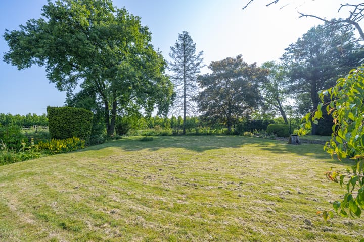 Foto 3 van Hogestraat 56