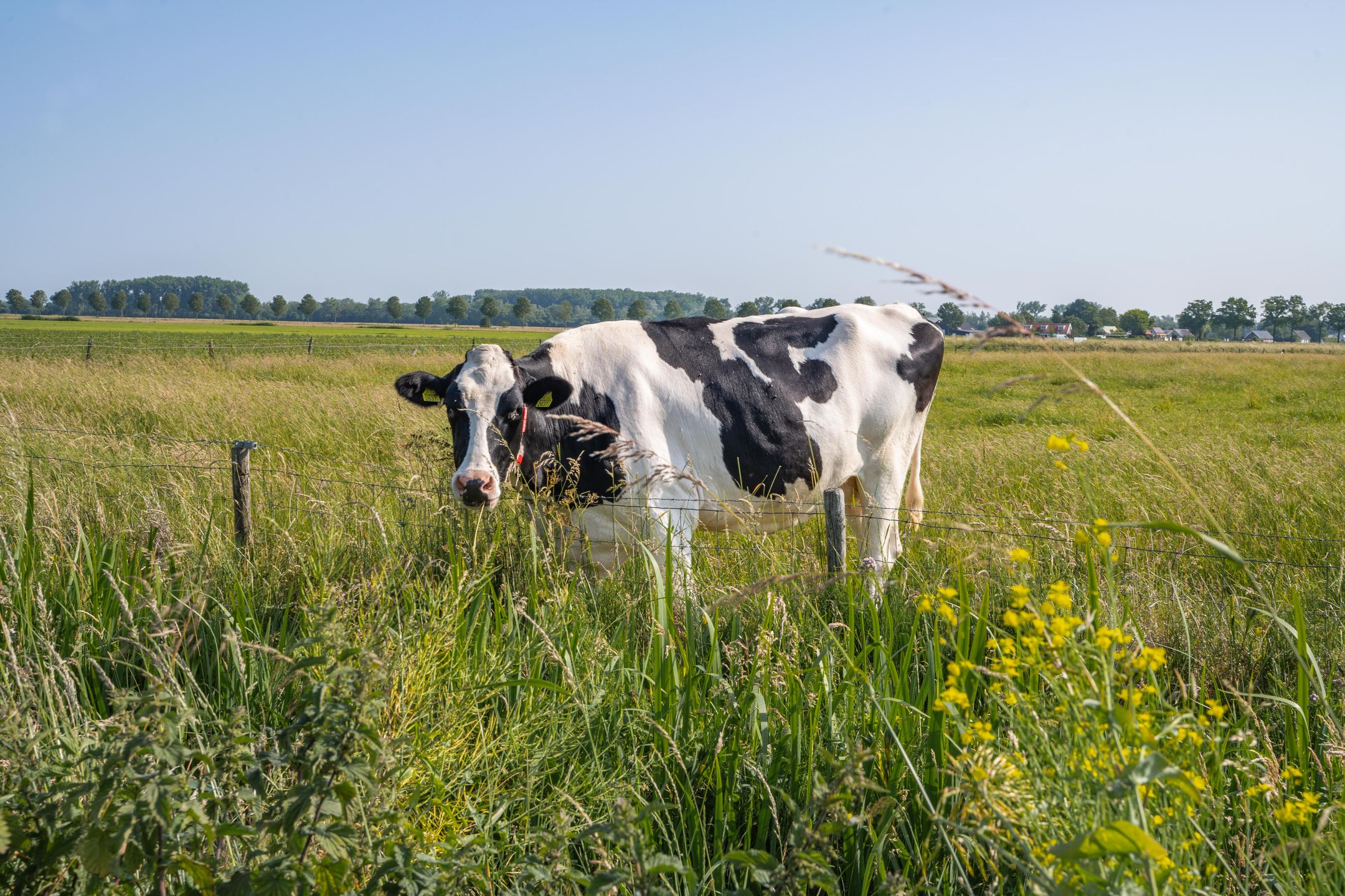 Foto 9 van Hogestraat 56