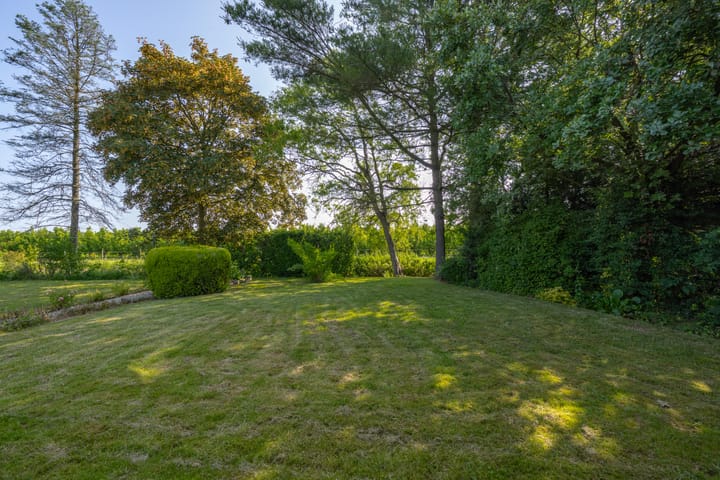 Foto 23 van Hogestraat 56