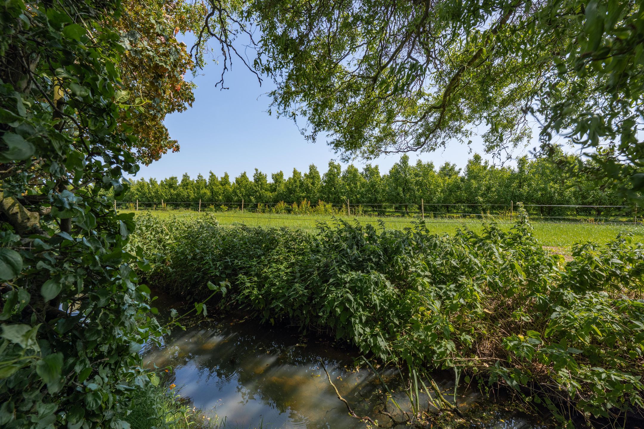 Foto 24 van Hogestraat 56