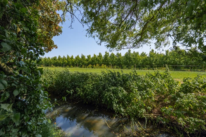 Foto 24 van Hogestraat 56