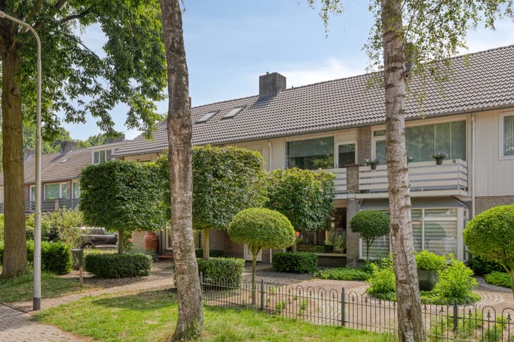 Foto 2 van Vincent van Goghlaan 4