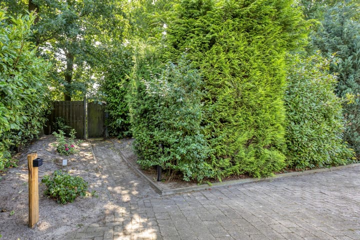 Foto 38 van Kievit 12-478