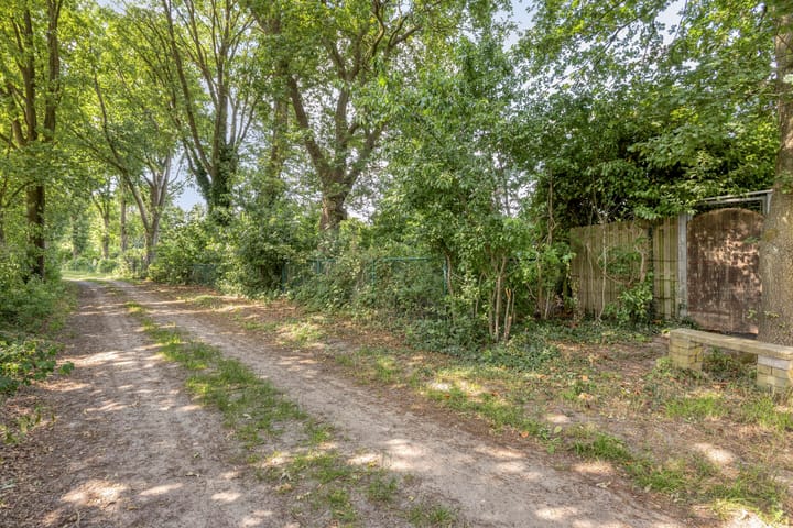 Foto 39 van Kievit 12-478