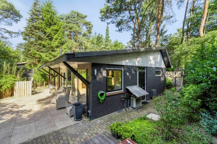 Foto 3 van Kievit 12-98