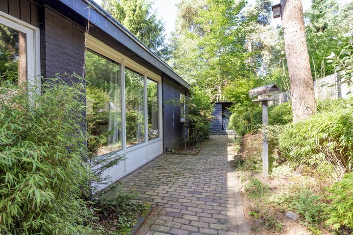 Foto 5 van Kievit 12-98