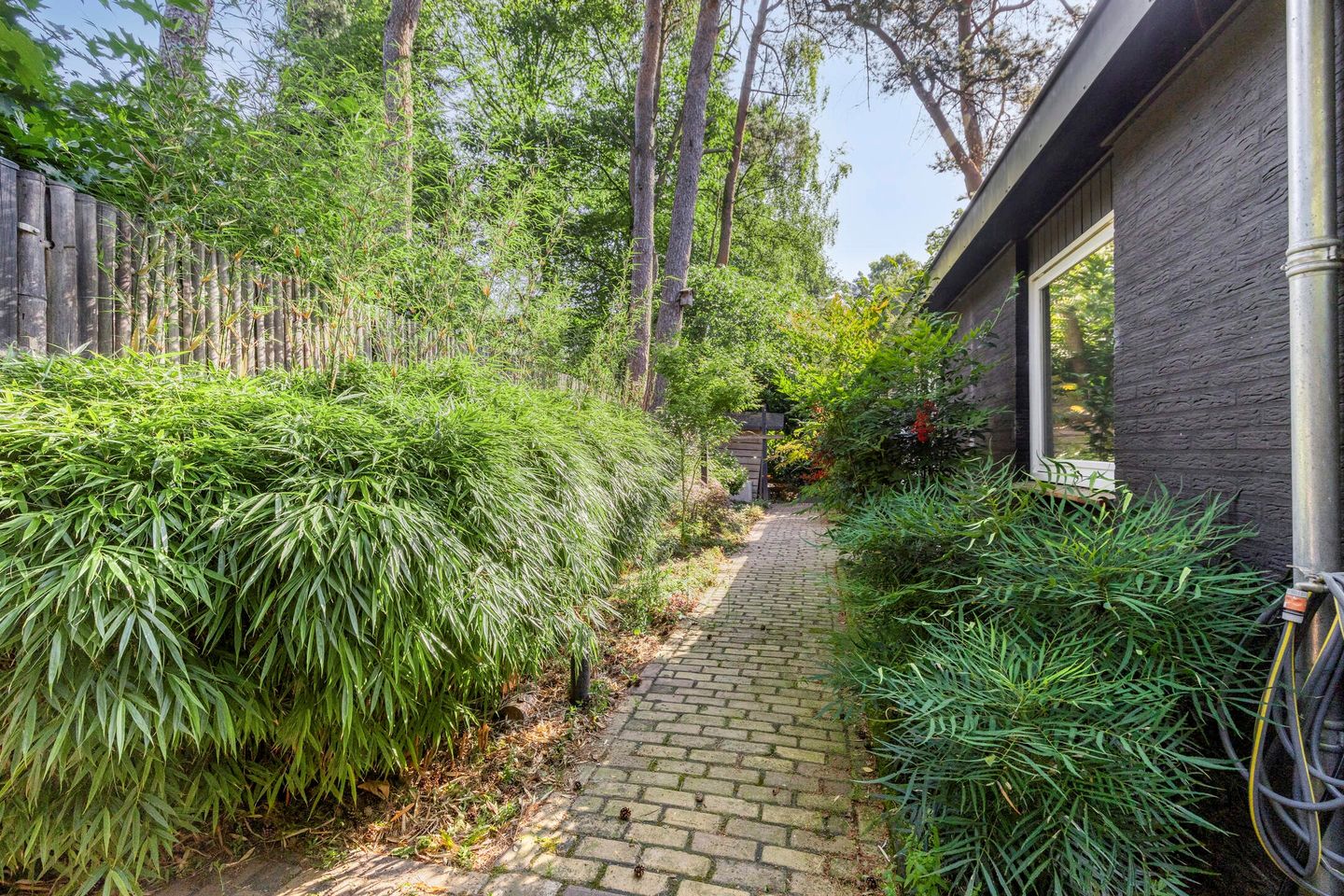 Photo 25 of Kievit 12-98