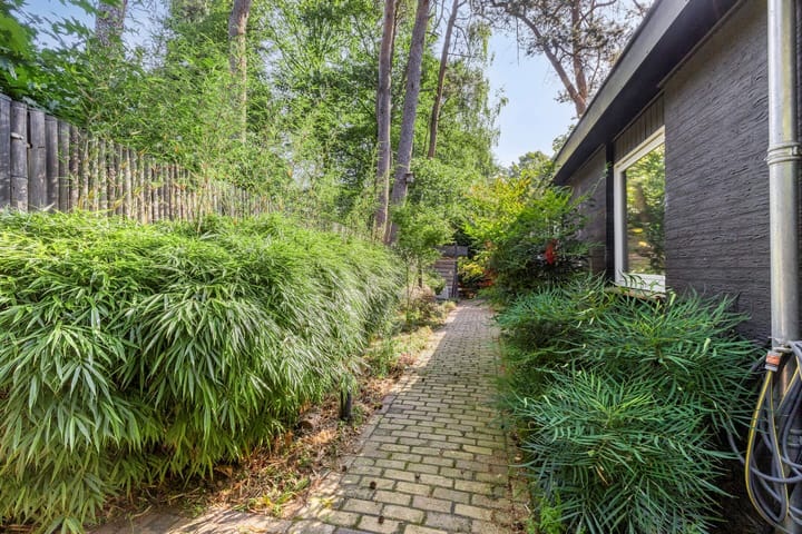 Foto 25 van Kievit 12-98