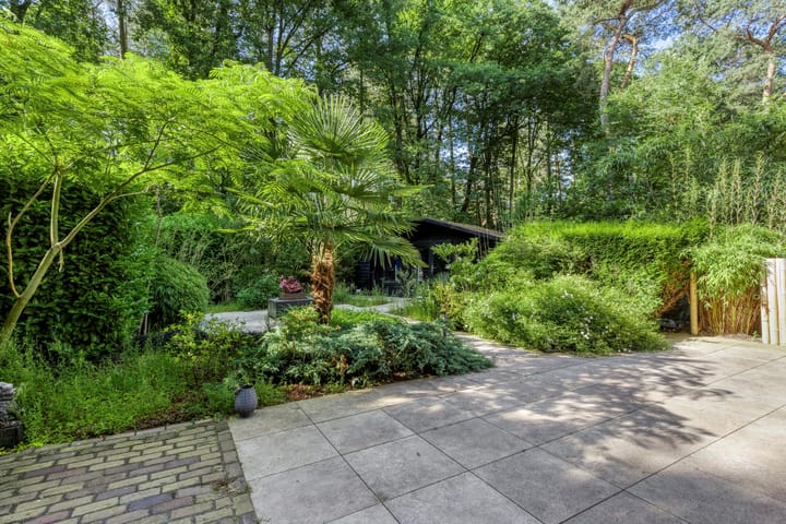 Foto 27 van Kievit 12-98