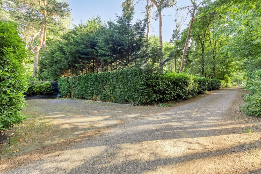 Photo 28 of Kievit 12-98