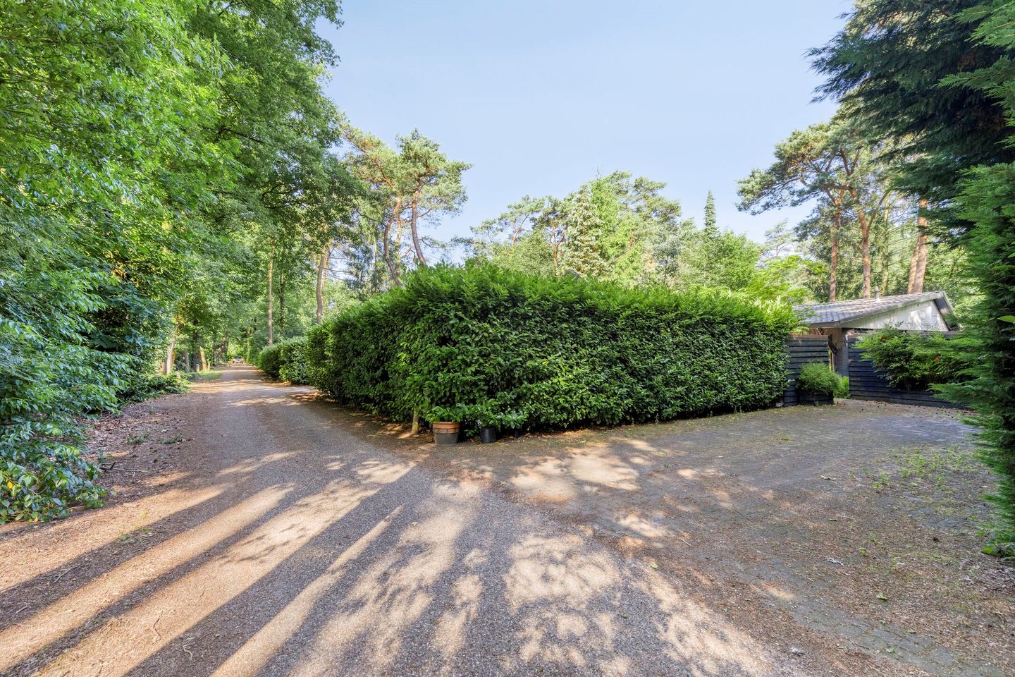 Photo 29 of Kievit 12-98