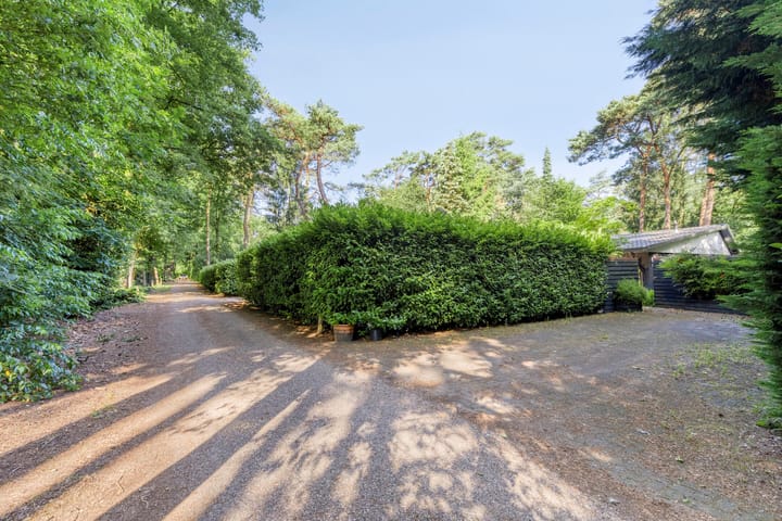 Foto 29 van Kievit 12-98