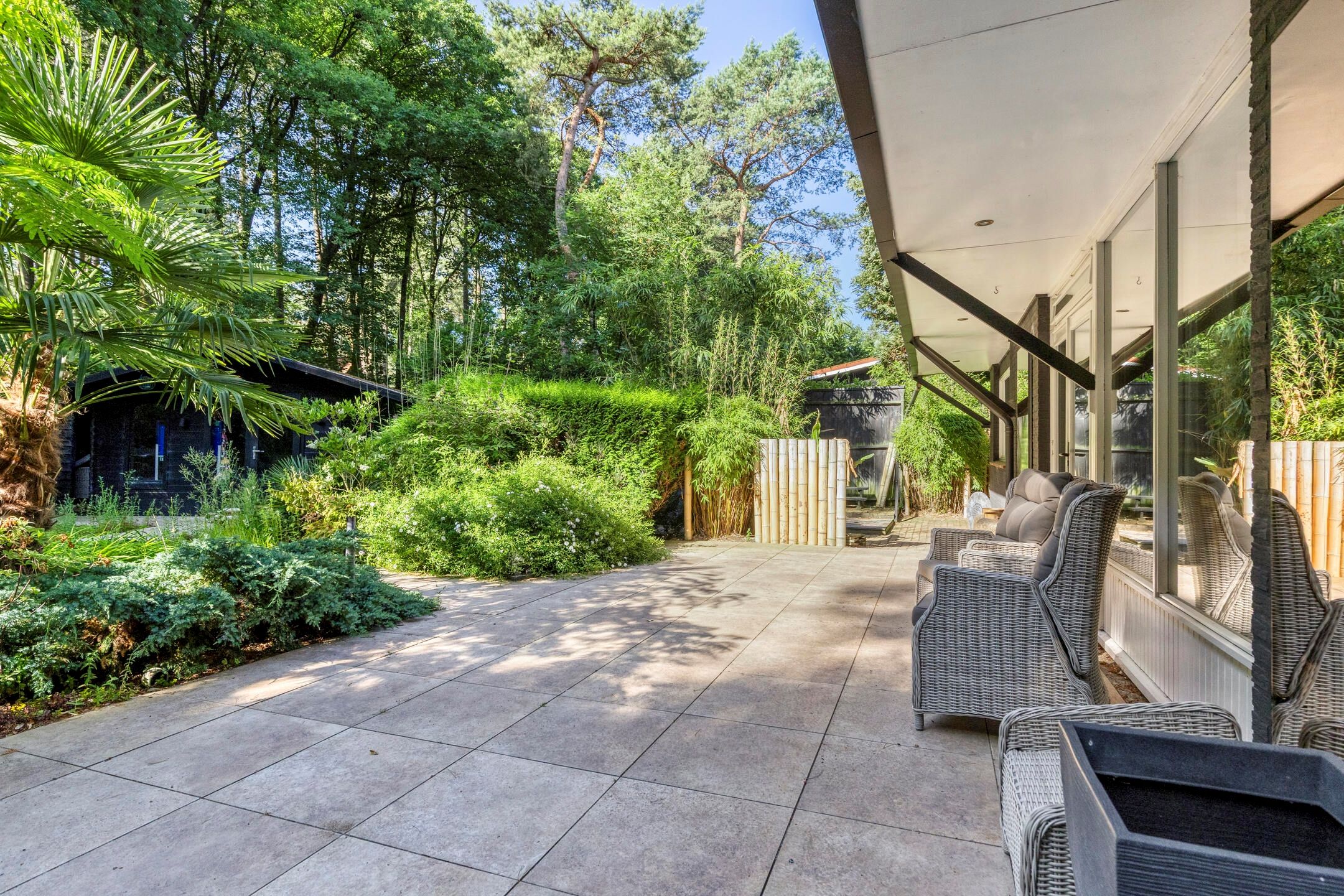 Photo 6 of Kievit 12-98